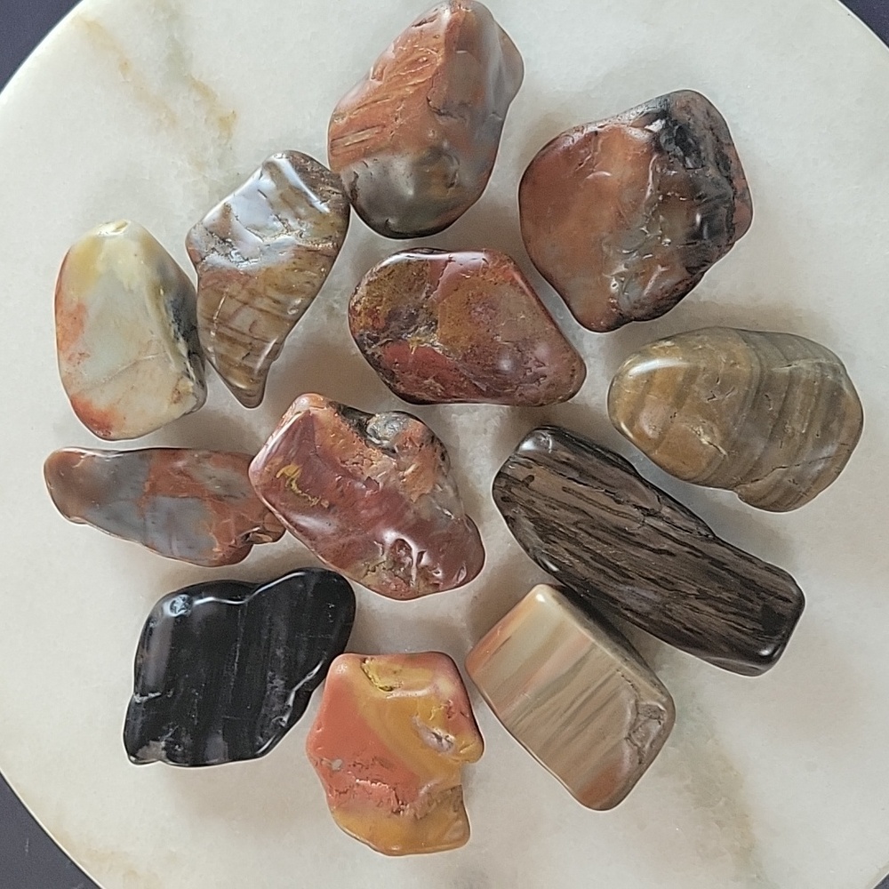 Polished Az rainbow petrified wood 12 pieces
